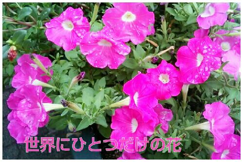 rblog-20161010232706-00.jpg