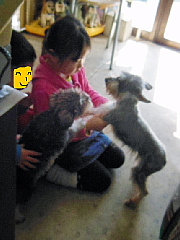conv0403.JPG