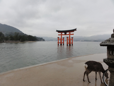 厳島神社大鳥居と鹿