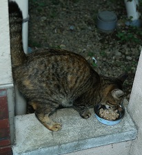 5DA_6633-14.jpg