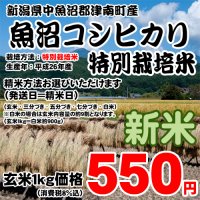 魚沼産玄米1kg550円