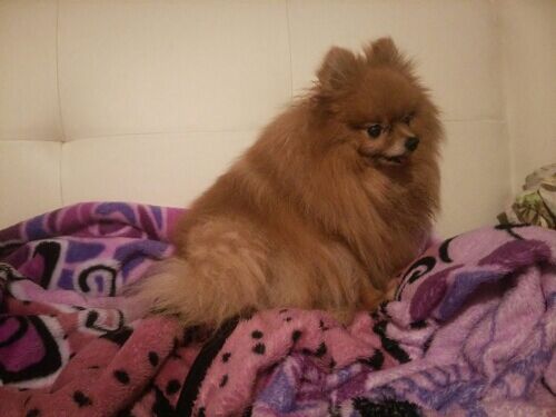 rblog-20160405231343-00.jpg