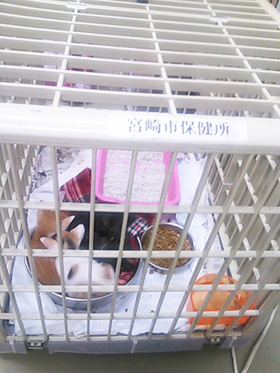 20130612h.jpg