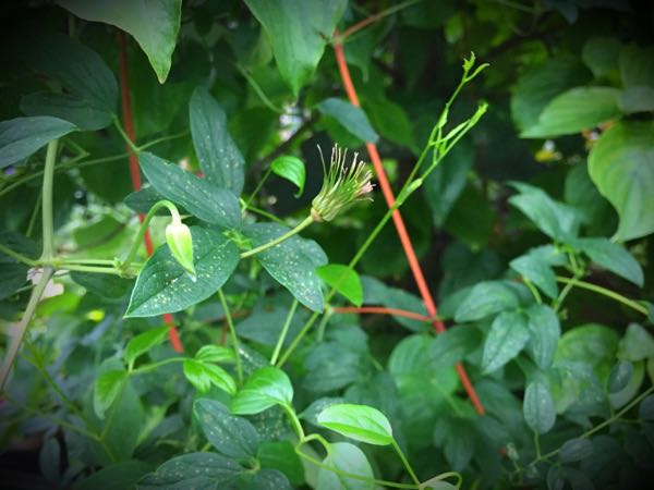 rblog-20160627205604-06.jpg