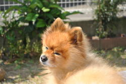 120726bon2.jpg