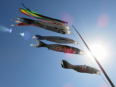 IMG_1050.jpg
