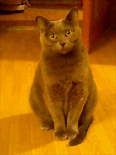 2012-06-04 12:11:22