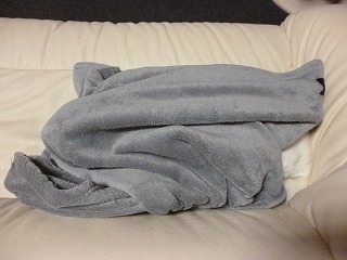 P1110379ss.jpg