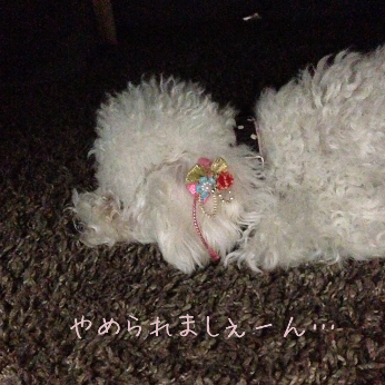IMG_5776.png