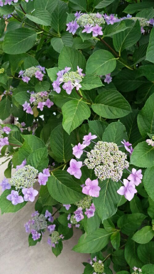 rblog-20180530171406-03.jpg