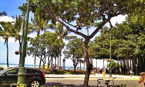1_C360_2012-05-03-11-20-04.jpg
