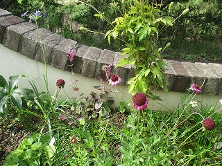 IMG_6176ss.jpg