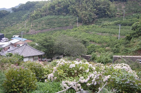 s-DSC_0569.jpg