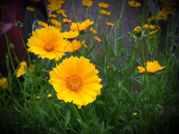 rblog-20160528224442-05.jpg