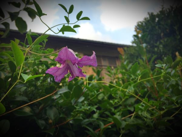rblog-20160725203748-07.jpg
