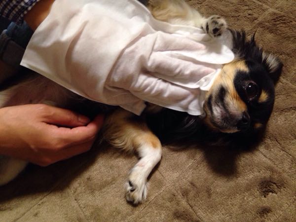 rblog-20141103195711-01.jpg