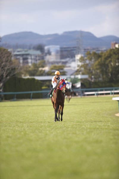 レース後