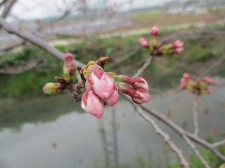 IMG_0053ss.jpg