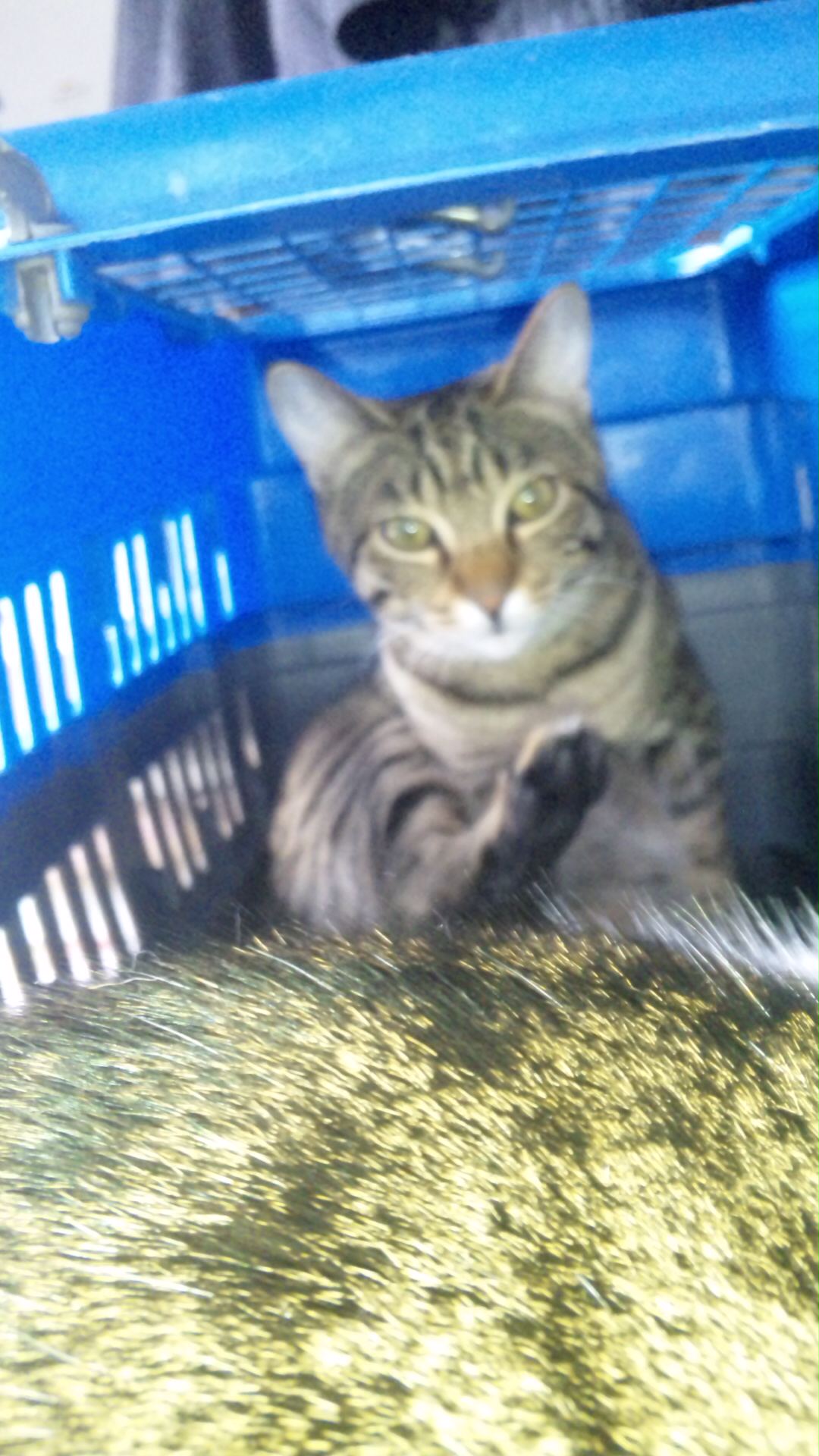 CAHFZ1VD.jpg