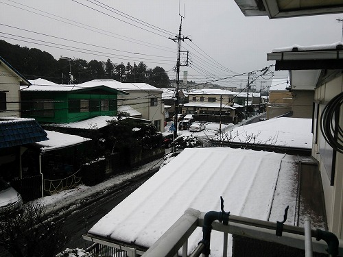 2016年の雪