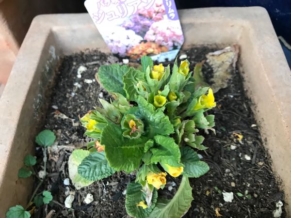 rblog-20190324174901-05.jpg