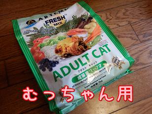 むうご飯.JPG