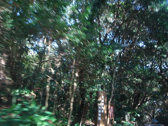 足摺亜熱帯自然植物園.jpg
