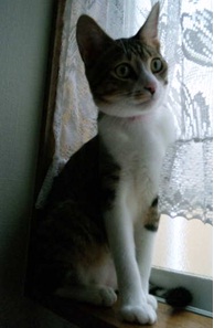 20120620_2.jpg