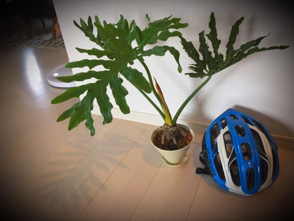 rblog-20160925214619-03.jpg