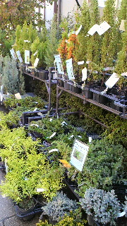 2013111514190000.jpg
