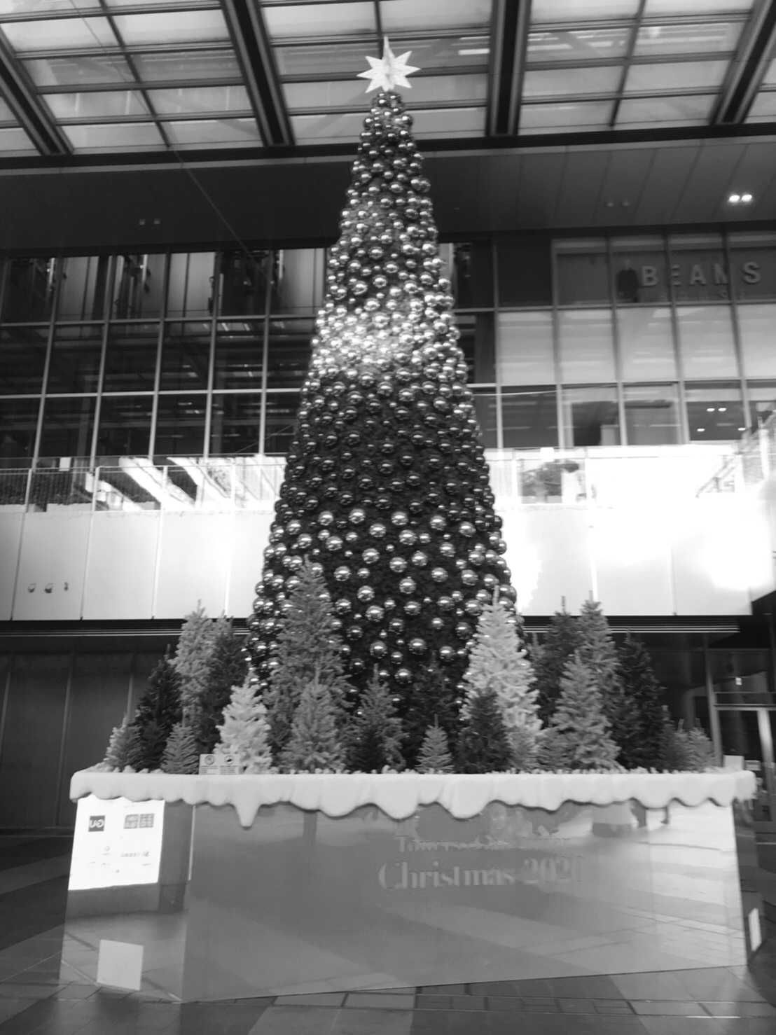 Jr名古屋駅周辺を彩るクリスマスイルミネーション Ecococo Design Life 楽天ブログ