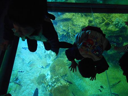 越前松島水族館