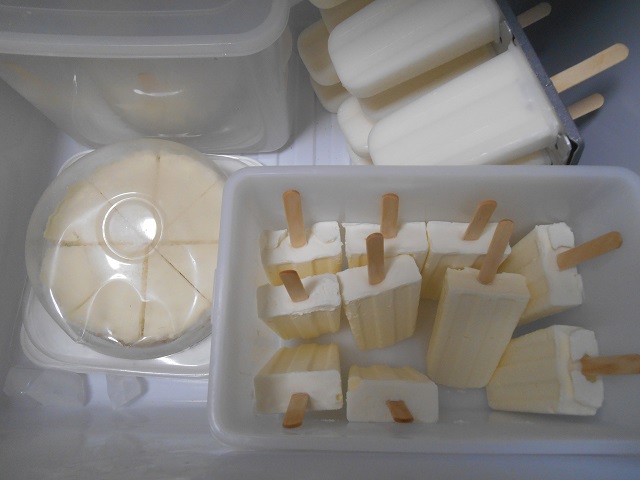 DSCN0814.JPG
