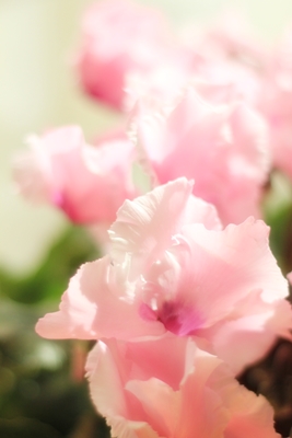 20130119-2.JPG