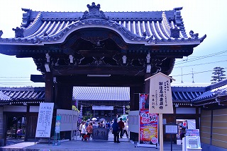 DSC_2482.jpg