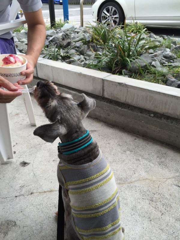 rblog-20150829191526-02.jpg