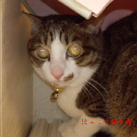 4/13 AM5:33 地震後の福３