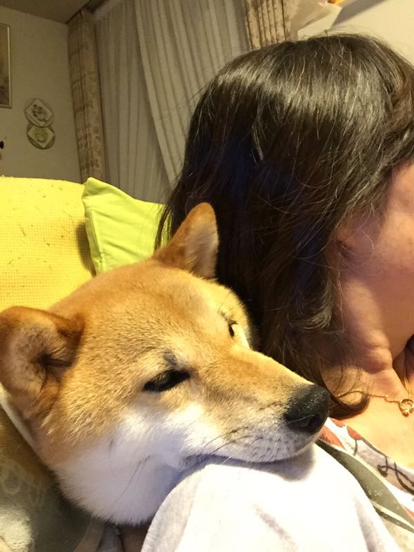 rblog-20160513183700-04.jpg