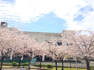 ２入園式.jpg