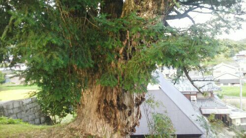 rblog-20180831122659-00.jpg