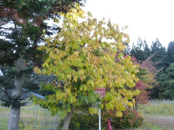 rblog-20151030111606-00.jpg