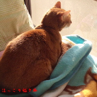 4/13 AM5:33 地震後のラム１