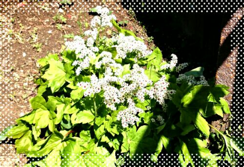 rblog-20160501085230-04.jpg