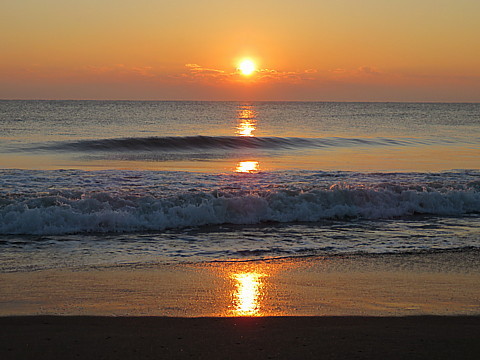 IMG_8141.jpg