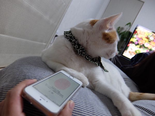 rblog-20150107073552-03.jpg