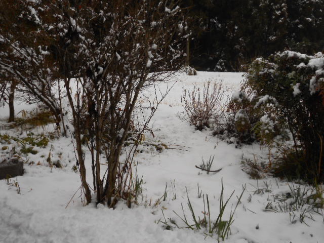 DSCN0879.JPG