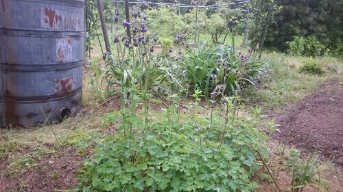 rblog-20180514082632-03.jpg