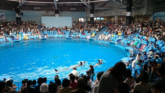 2015-08-23 10.24.01.jpg