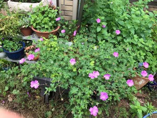 rblog-20180531150337-03.jpg