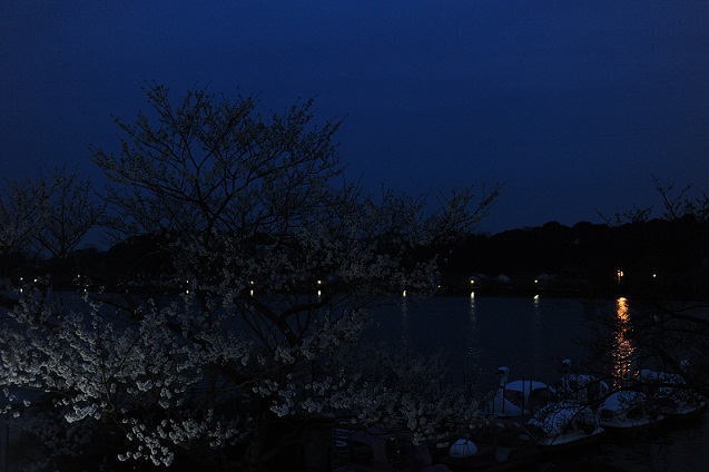 2013.3.22 070.JPG